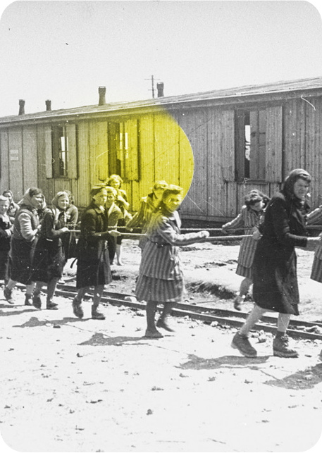 Día Internacional en Memoria del Holocausto