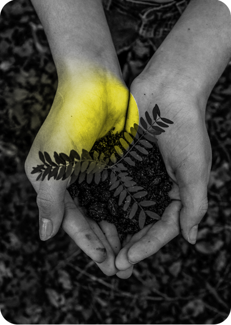 Día de la Tierra (Earth Day)