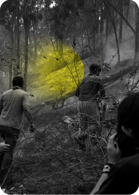 Día mundial del medio ambiente